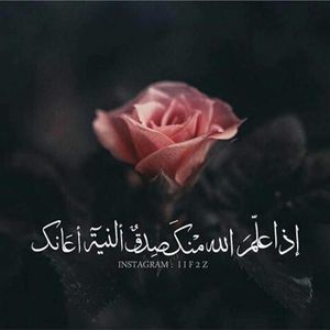 Meet your Posher, Eman